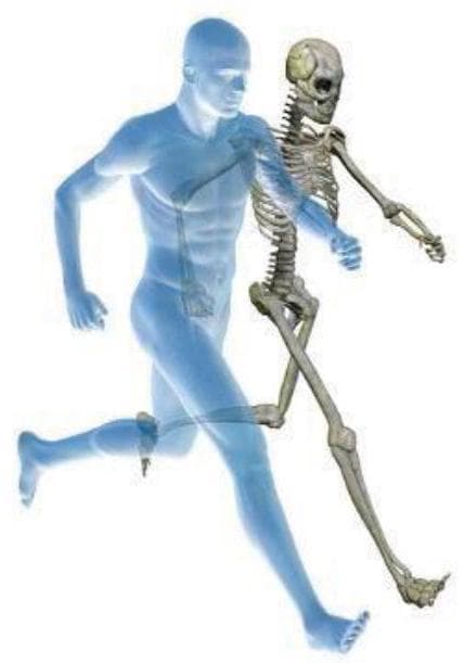 Question illustration