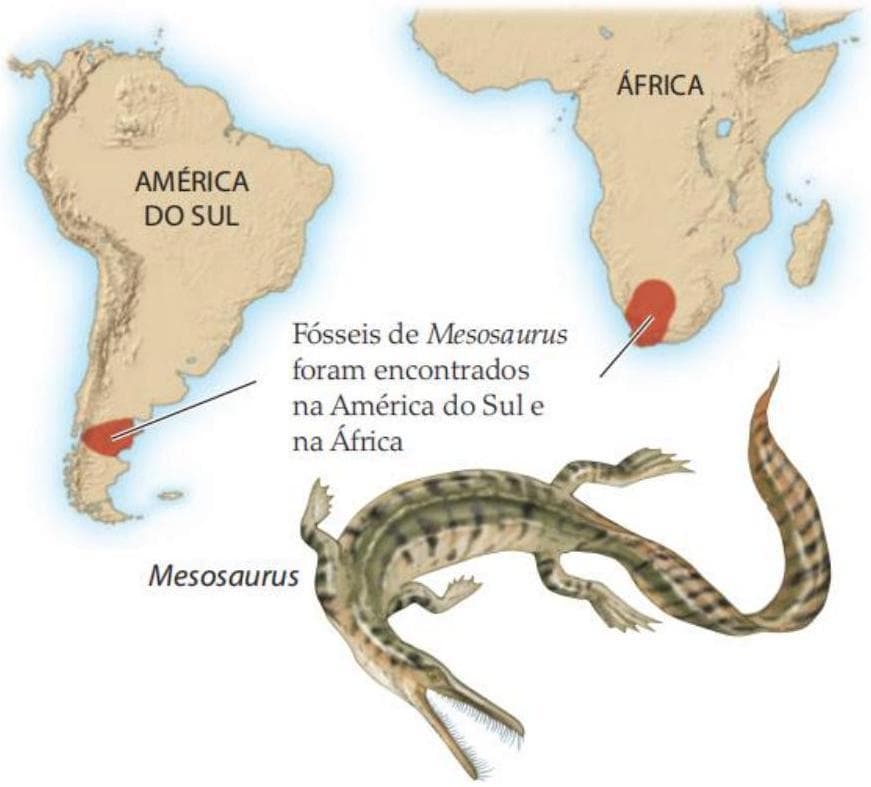 Question illustration