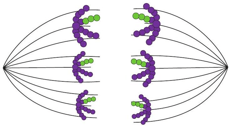 Question illustration