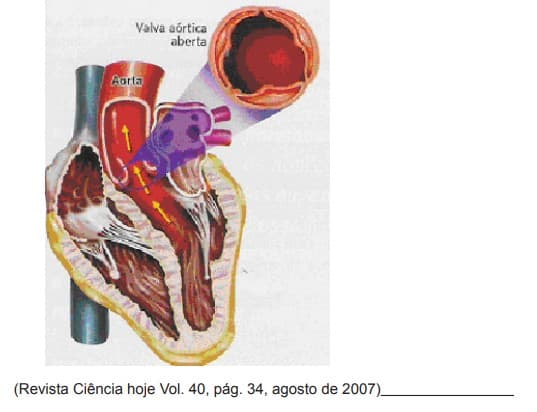 Question illustration