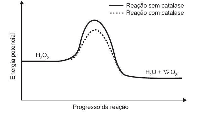 Question illustration