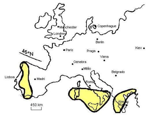 Question illustration