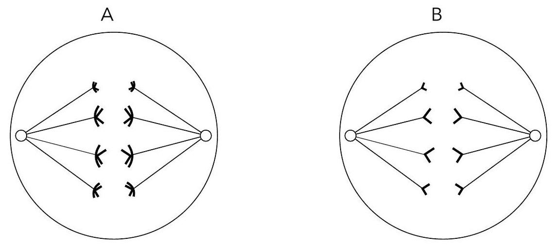 Question illustration