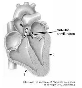 Question illustration