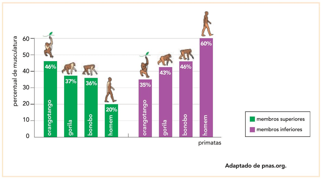 Question illustration