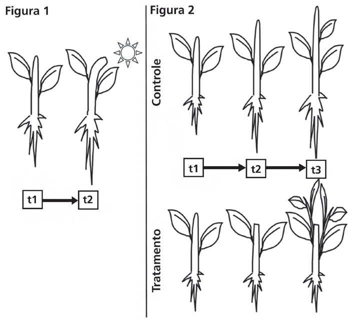 Question illustration