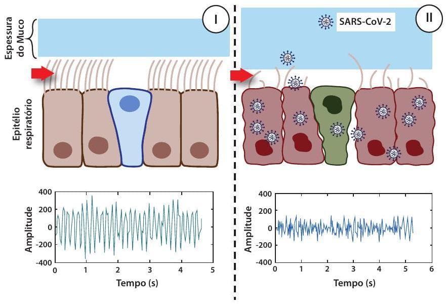 Question illustration