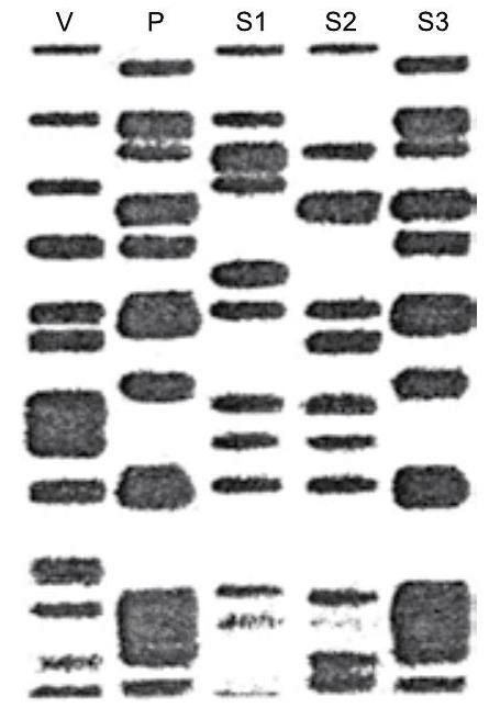 Question illustration