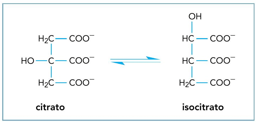 Question illustration