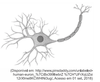 Question illustration