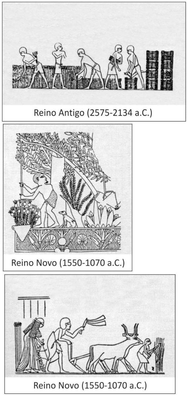 Question illustration