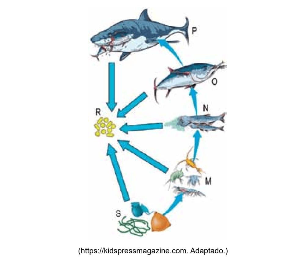 Question illustration