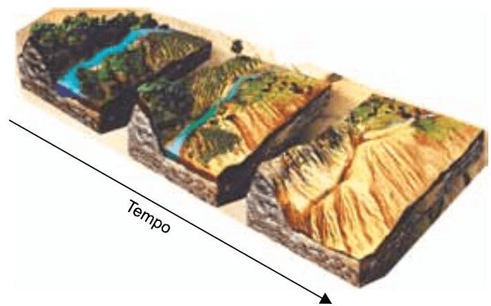 Question illustration