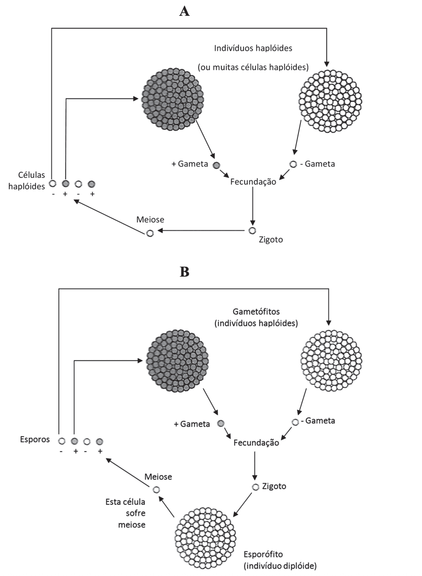 Question illustration