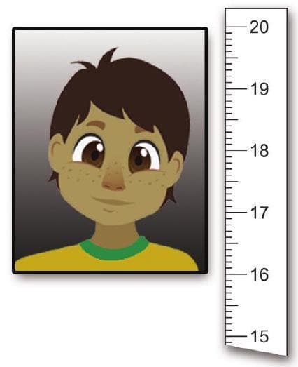 Question illustration