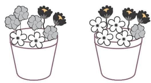 Question illustration