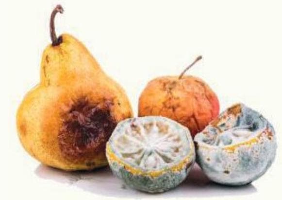 Question illustration