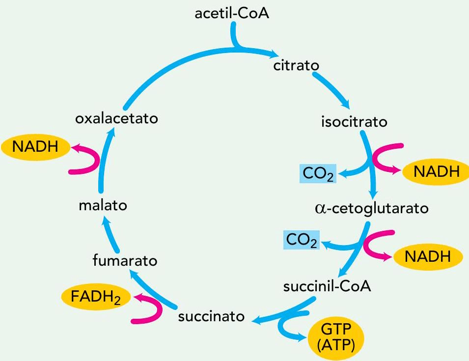 Question illustration