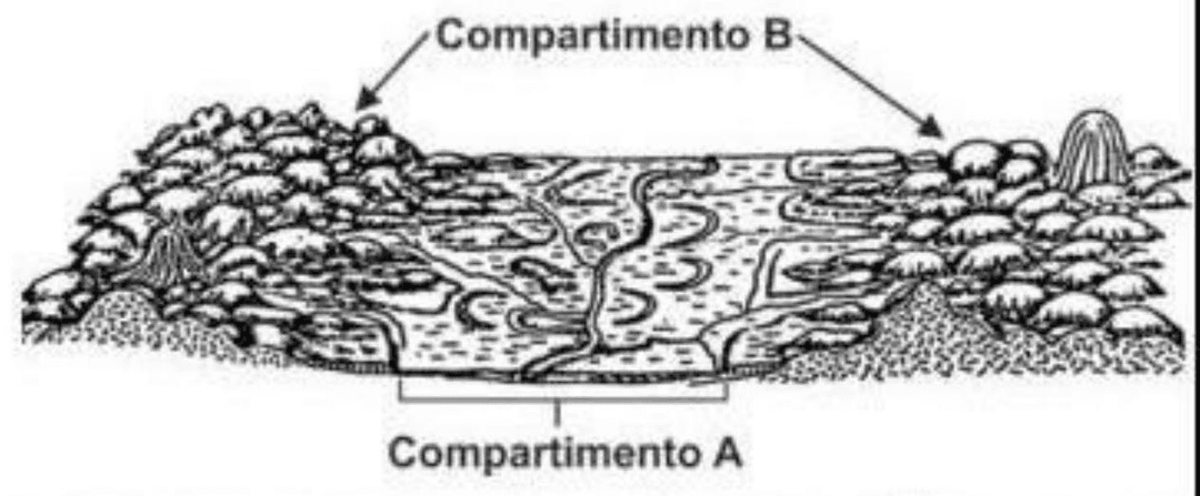 Question illustration